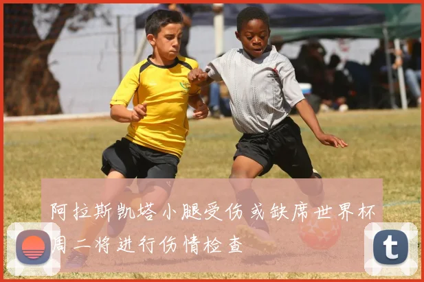 阿拉斯凯塔小腿受伤或缺席世界杯周二将进行伤情检查